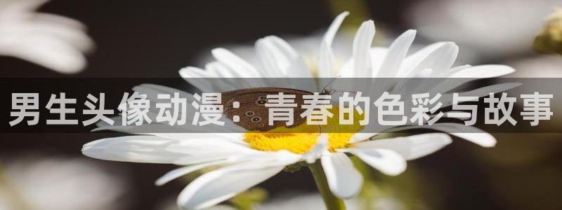 汗汗漫画中文全集:男生头像动漫:青春的色彩与故事配图