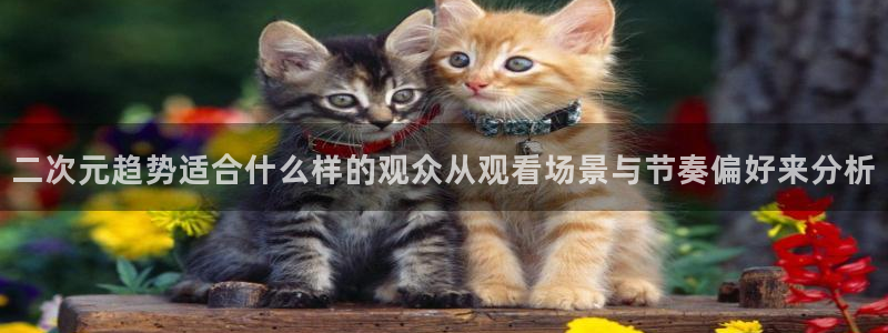汗汗漫画经典榜单:二次元趋势适合什么样的观众从观看场景与节奏偏好来分析配图